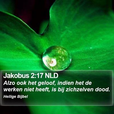 Jakobus 2:17 NLD Bible Verse Image