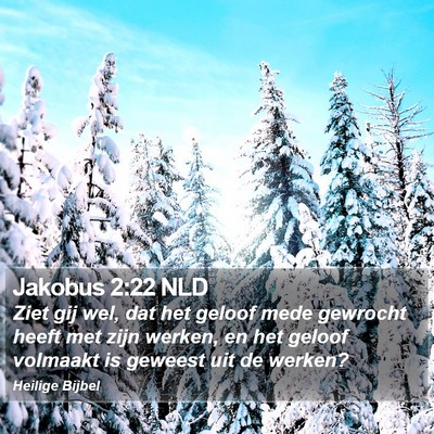 Jakobus 2:22 NLD Bible Verse Image