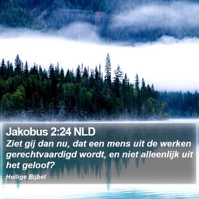 Jakobus 2:24 NLD Bible Verse Image