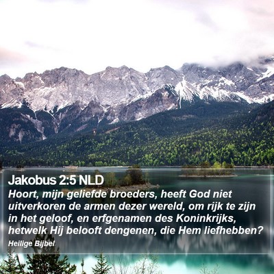 Jakobus 2:5 NLD Bible Verse Image