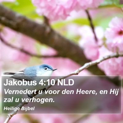 Jakobus 4:10 NLD Bible Verse Image