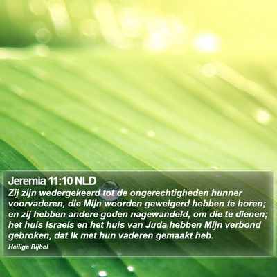 Jeremia 11:10 NLD Bible Verse Image