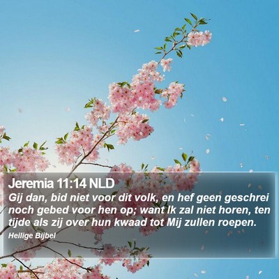 Jeremia 11:14 NLD Bible Verse Image