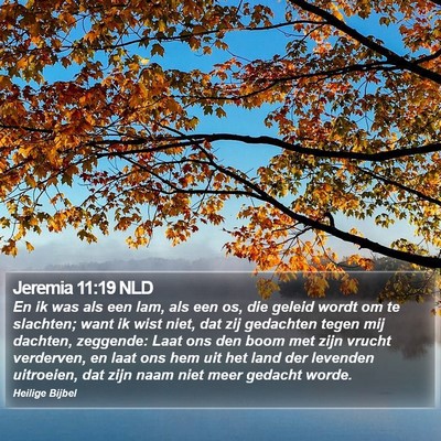 Jeremia 11:19 NLD Bible Verse Image