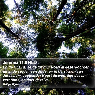 Jeremia 11:6 NLD Bible Verse Image
