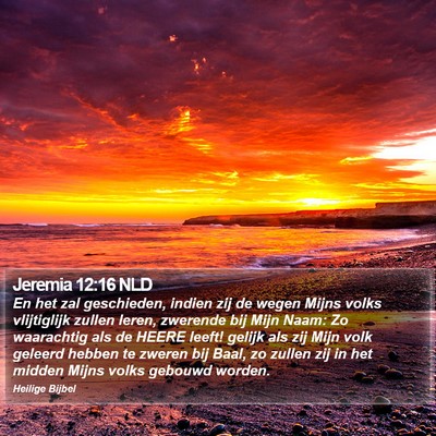 Jeremia 12:16 NLD Bible Verse Image