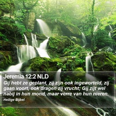 Jeremia 12:2 NLD Bible Verse Image