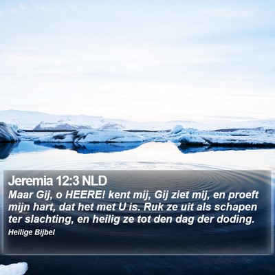 Jeremia 12:3 NLD Bible Verse Image