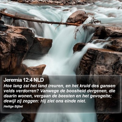 Jeremia 12:4 NLD Bible Verse Image