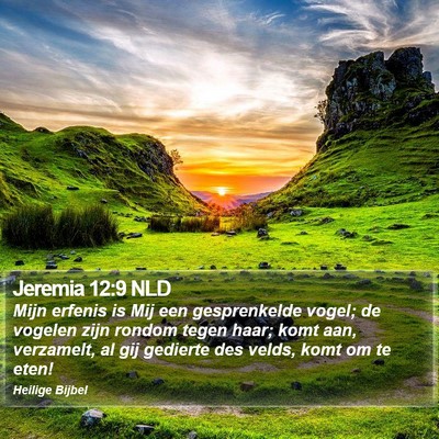 Jeremia 12:9 NLD Bible Verse Image