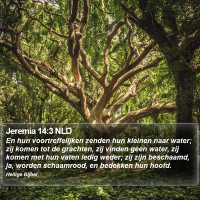 Jeremia 14:3 NLD Bible Verse Image