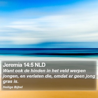 Jeremia 14:5 NLD Bible Verse Image
