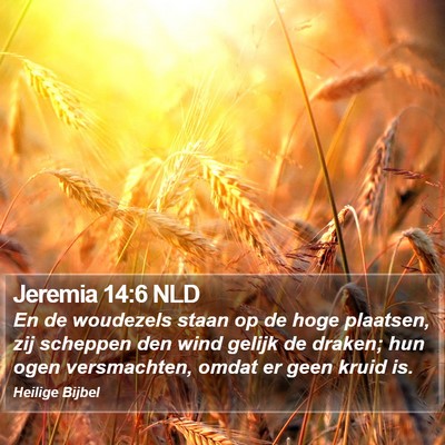Jeremia 14:6 NLD Bible Verse Image