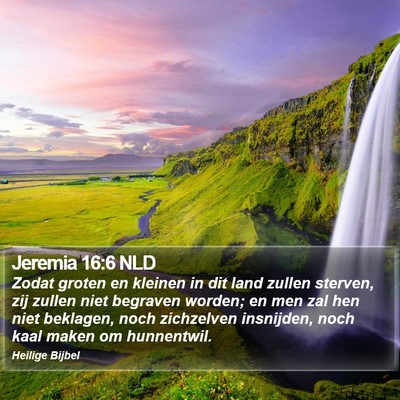 Jeremia 16:6 NLD Bible Verse Image
