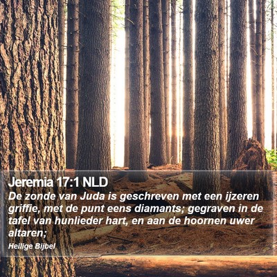 Jeremia 17:1 NLD Bible Verse Image