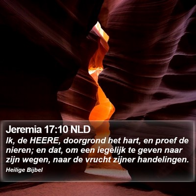 Jeremia 17:10 NLD Bible Verse Image