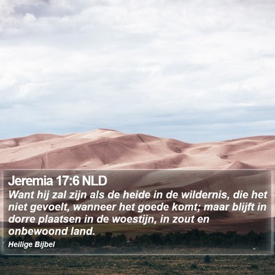 Jeremia 17:6 NLD Bible Verse Image
