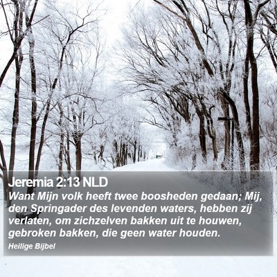 Jeremia 2:13 NLD Bible Verse Image