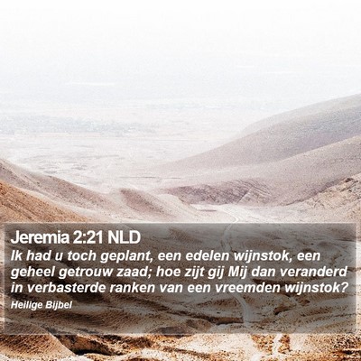 Jeremia 2:21 NLD Bible Verse Image