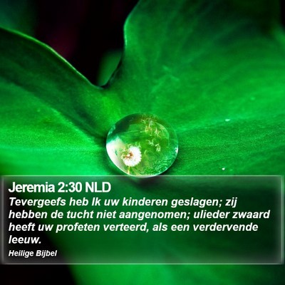 Jeremia 2:30 NLD Bible Verse Image