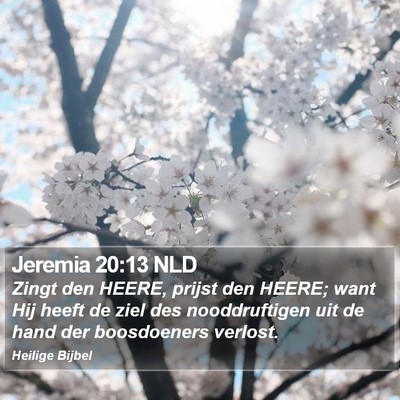 Jeremia 20:13 NLD Bible Verse Image