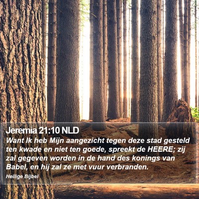 Jeremia 21:10 NLD Bible Verse Image