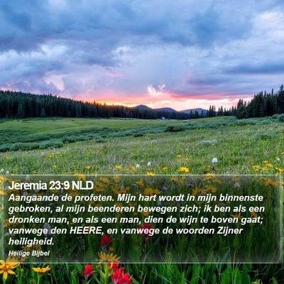 Jeremia 23:9 NLD Bible Verse Image
