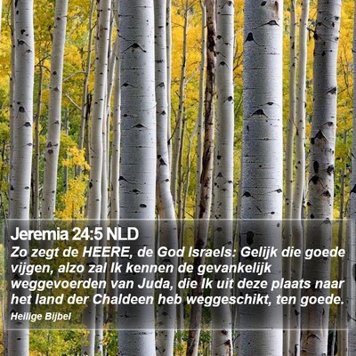 Jeremia 24:5 NLD Bible Verse Image