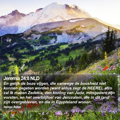 Jeremia 24:8 NLD Bible Verse Image