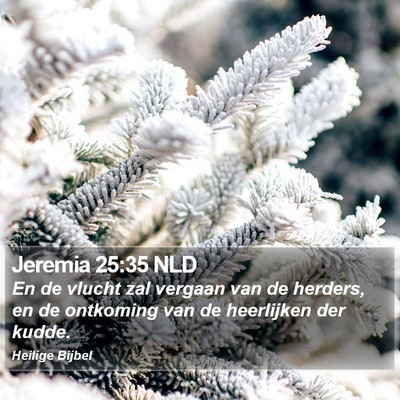 Jeremia 25:35 NLD Bible Verse Image