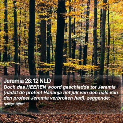 Jeremia 28:12 NLD Bible Verse Image