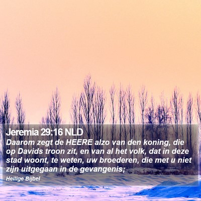 Jeremia 29:16 NLD Bible Verse Image