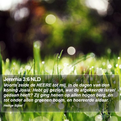 Jeremia 3:6 NLD Bible Verse Image