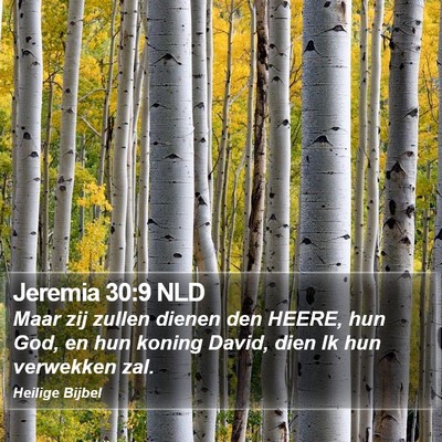 Jeremia 30:9 NLD Bible Verse Image