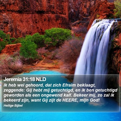 Jeremia 31:18 NLD Bible Verse Image