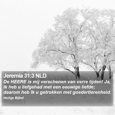 Jeremia 31:3 NLD Bible Verse Image