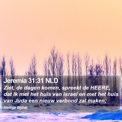 Jeremia 31:31 NLD Bible Verse Image