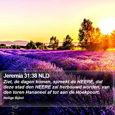 Jeremia 31:38 NLD Bible Verse Image