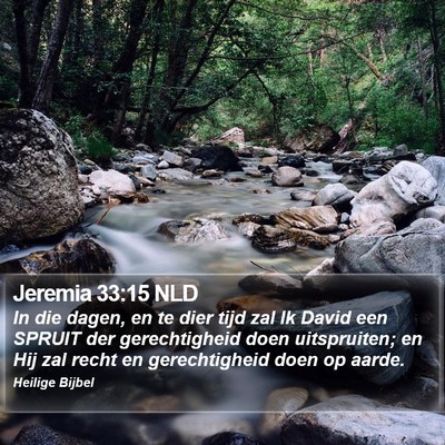 Jeremia 33:15 NLD Bible Verse Image