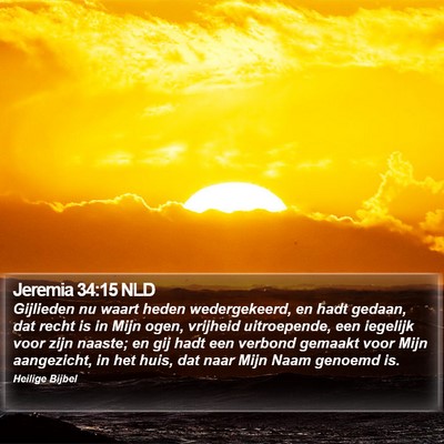 Jeremia 34:15 NLD Bible Verse Image