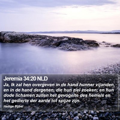 Jeremia 34:20 NLD Bible Verse Image