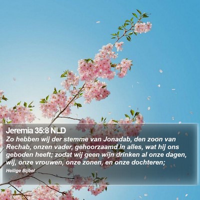 Jeremia 35:8 NLD Bible Verse Image