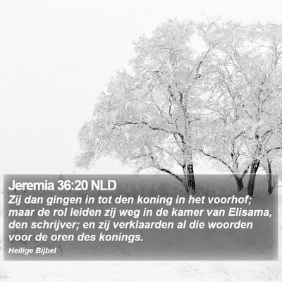 Jeremia 36:20 NLD Bible Verse Image