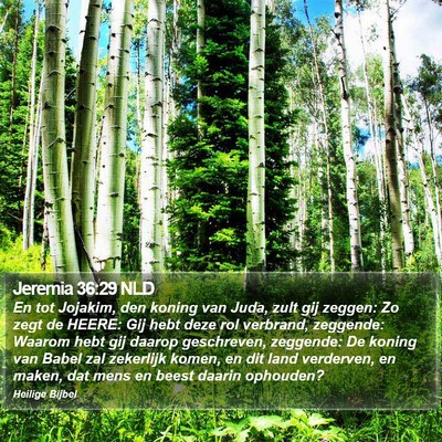 Jeremia 36:29 NLD Bible Verse Image