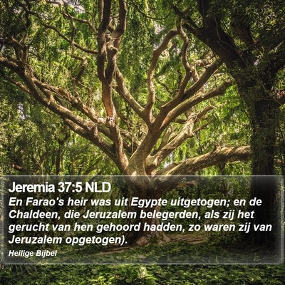 Jeremia 37:5 NLD Bible Verse Image