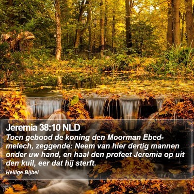 Jeremia 38:10 NLD Bible Verse Image