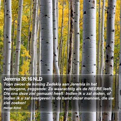 Jeremia 38:16 NLD Bible Verse Image