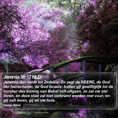 Jeremia 38:17 NLD Bible Verse Image