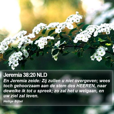 Jeremia 38:20 NLD Bible Verse Image