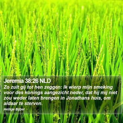 Jeremia 38:26 NLD Bible Verse Image